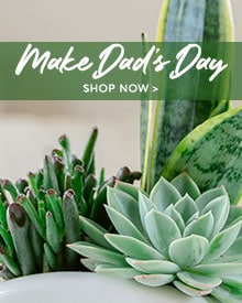 Father's Day Flowers Delivery - Send Father's Day Flowers