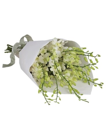 The Limelight Flower Arrangement