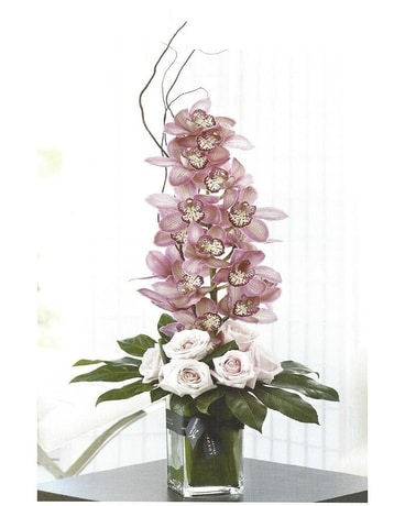 ORCHID DREAM Flower Arrangement
